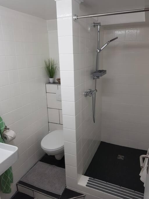 Ferienwohnung Bela, Naehe Nuerburgring Luxem 外观 照片